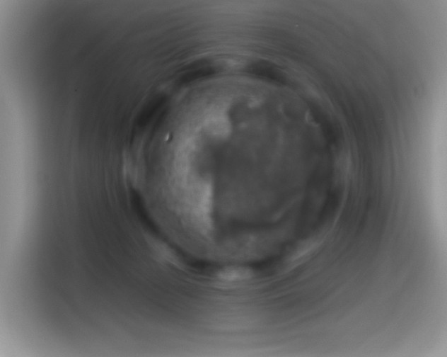 X0000113860274200910011027