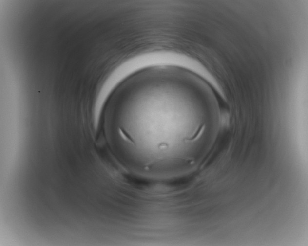 X0000113860276200910011027
