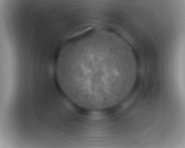 X0000113860277200910011027