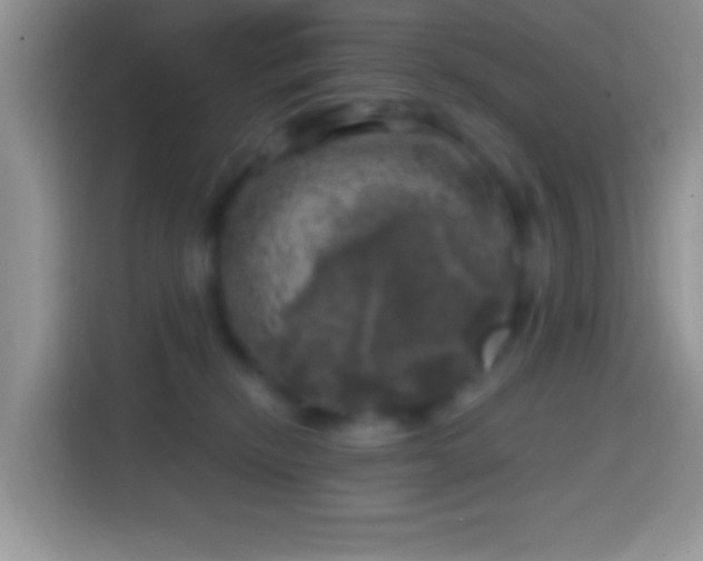 X0000113860278200910011027