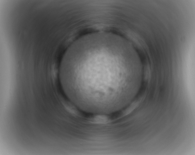 X0000113860279200910011027
