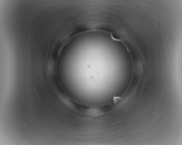 X0000113860280200910011027