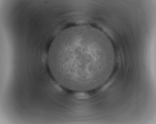 X0000113860281200910011027