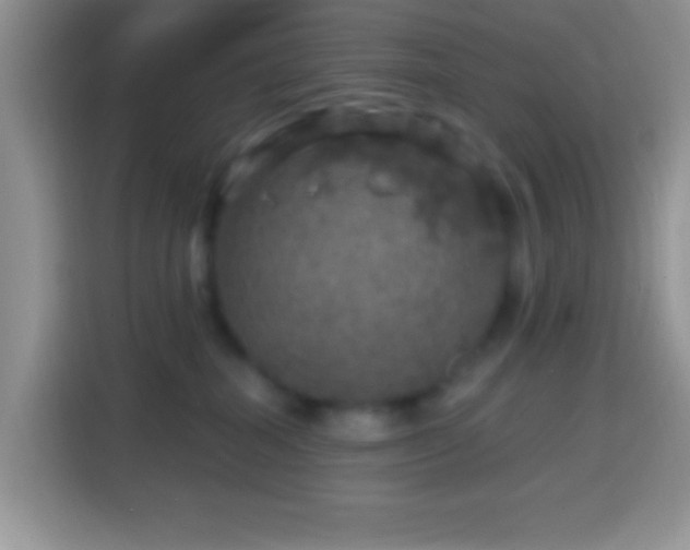 X0000113860282200910011027