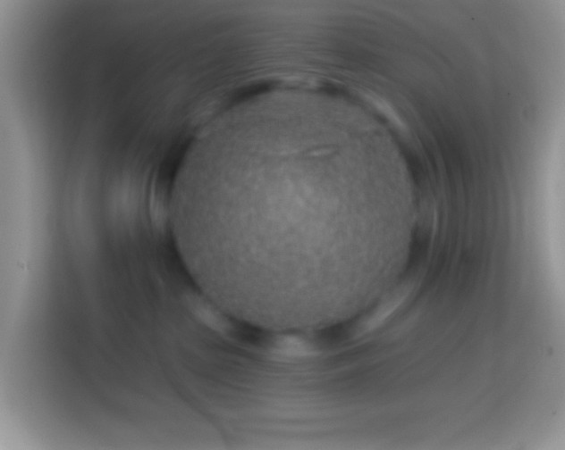 X0000113860285200910011027