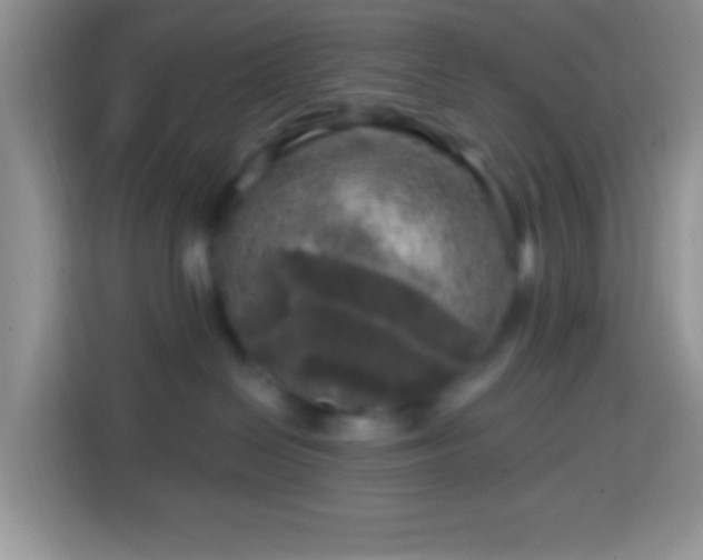 X0000113860286200910011027