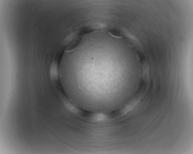 X0000113860287200910011027