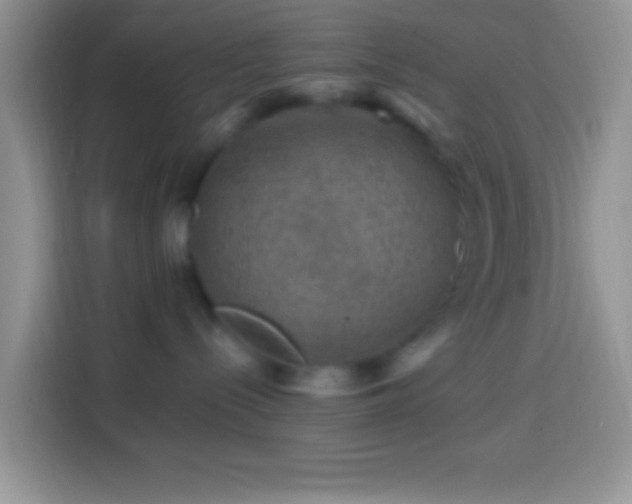 X0000113860288200910011027