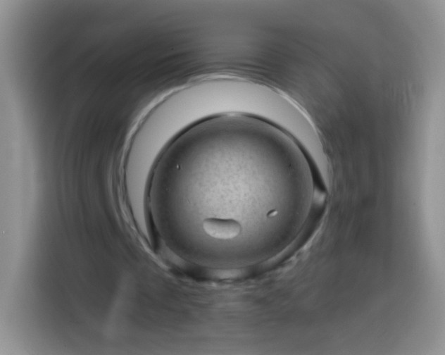 X0000113860289200910011027