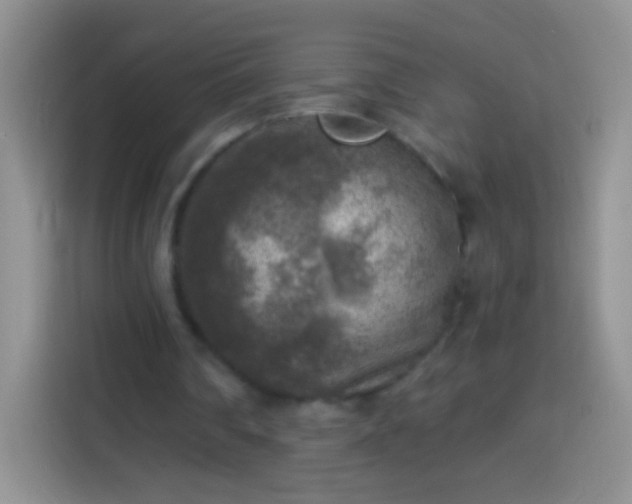 X0000113860290200910011027