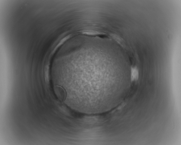 X0000113860291200910011027