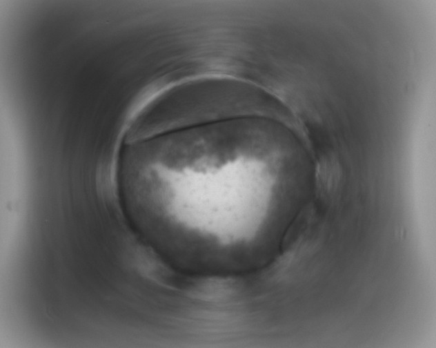 X0000113860292200910011027