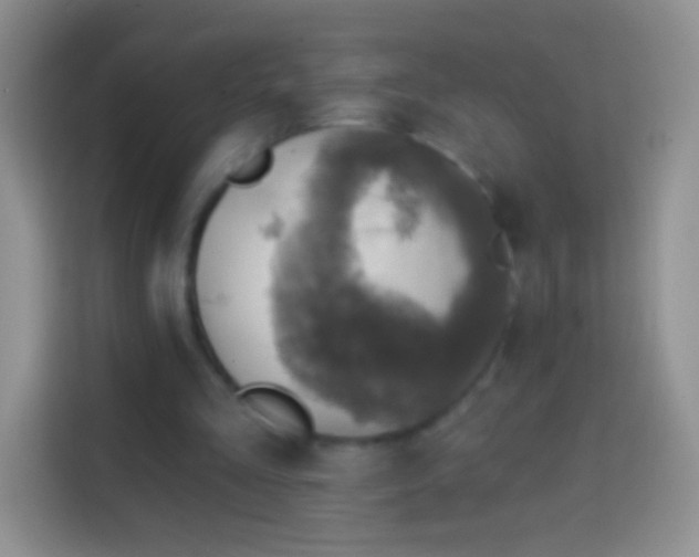 X0000113860293200910011027