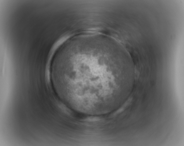 X0000113860294200910011027