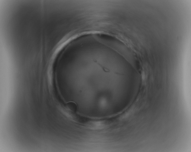 X0000113860295200910011027