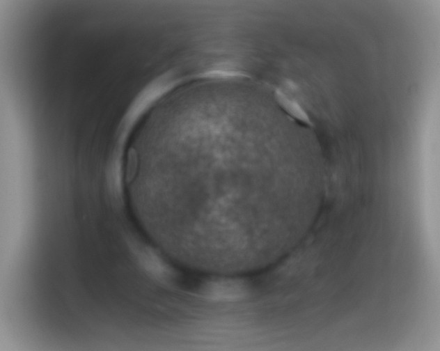 X0000113860296200910011027