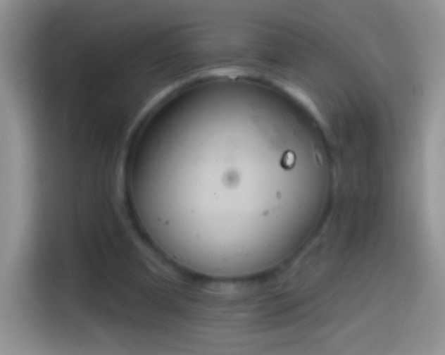 X0000113860297200910011027