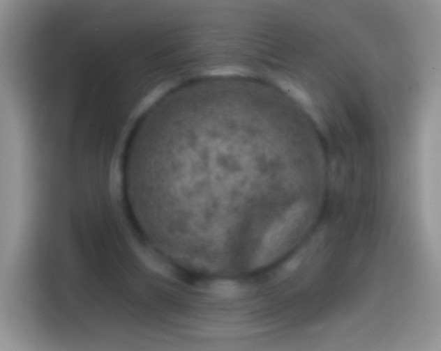 X0000113860298200910011027