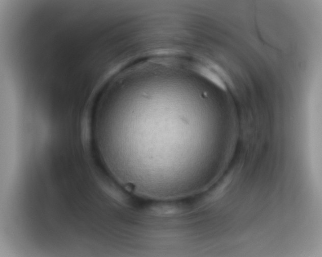 X0000113860299200910011027