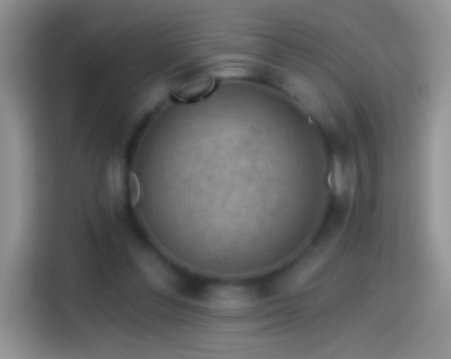 X0000113860300200910011027