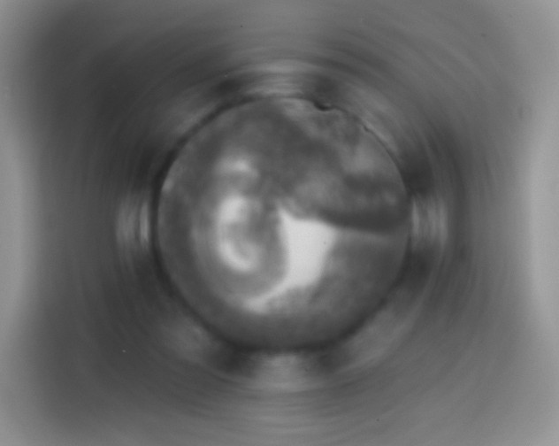 X0000113860301200910011027
