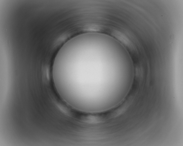 X0000113860302200910011027