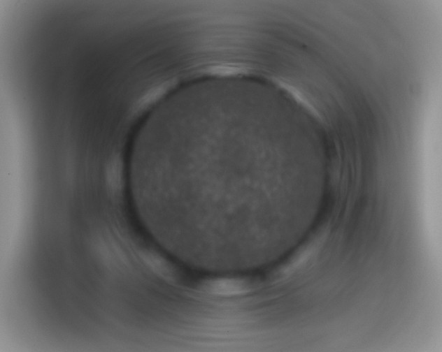 X0000113860303200910011027