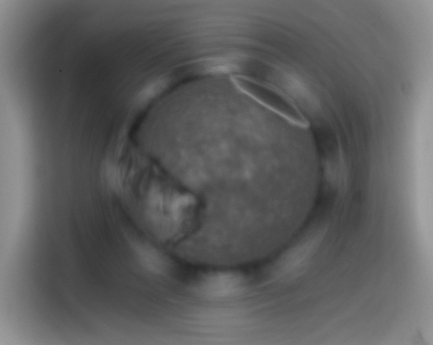 X0000113860304200910011027
