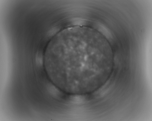 X0000113860305200910011027