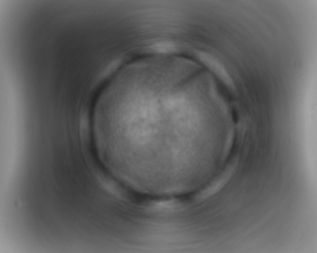 X0000113860306200910011026