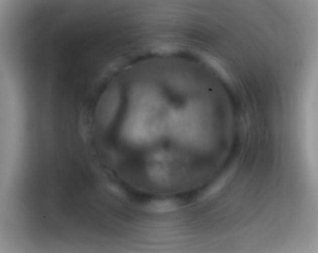 X0000113860307200910011026