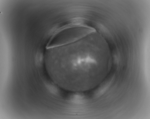 X0000113860308200910011026
