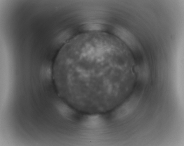 X0000113860309200910011026