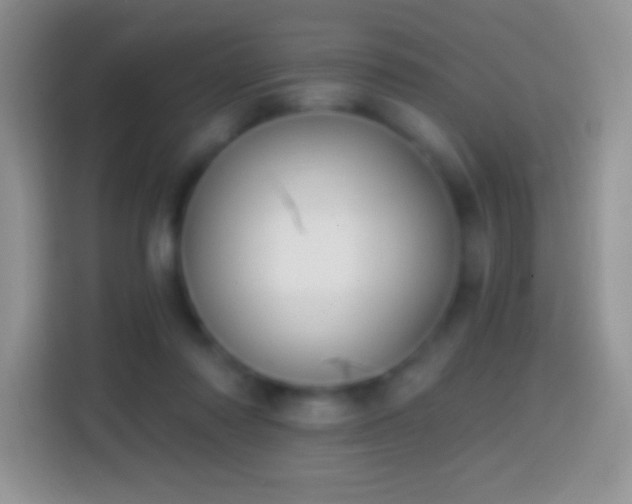 X0000113860310200910011026
