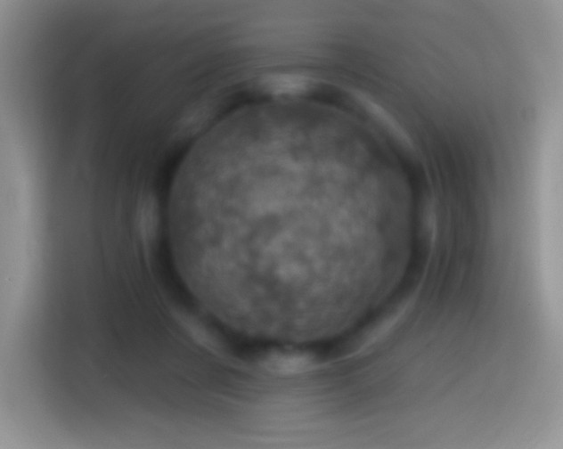 X0000113860311200910011026