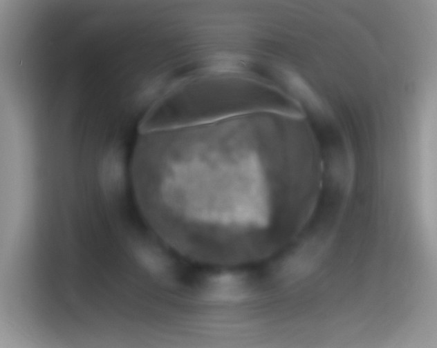 X0000113860312200910011026