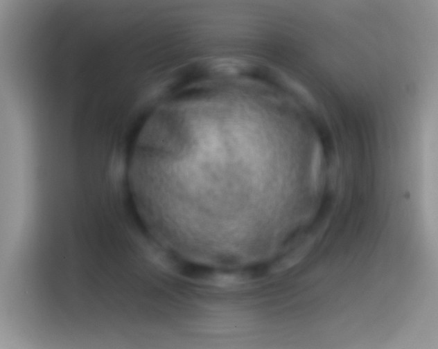 X0000113860314200910011026