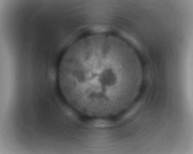 X0000113860315200910011026