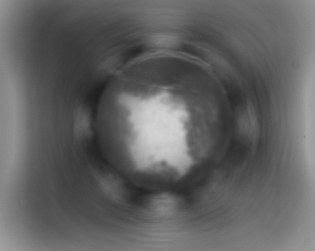 X0000113860316200910011026