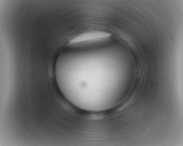 X0000113860317200910011026