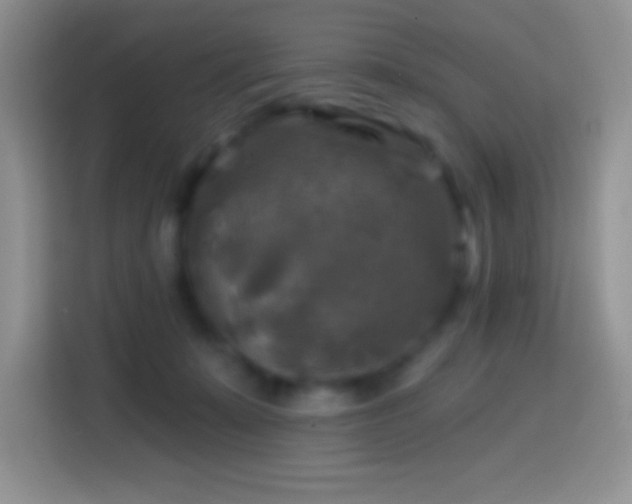 X0000113860319200910011026