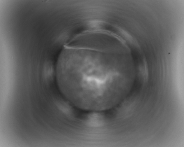 X0000113860320200910011026