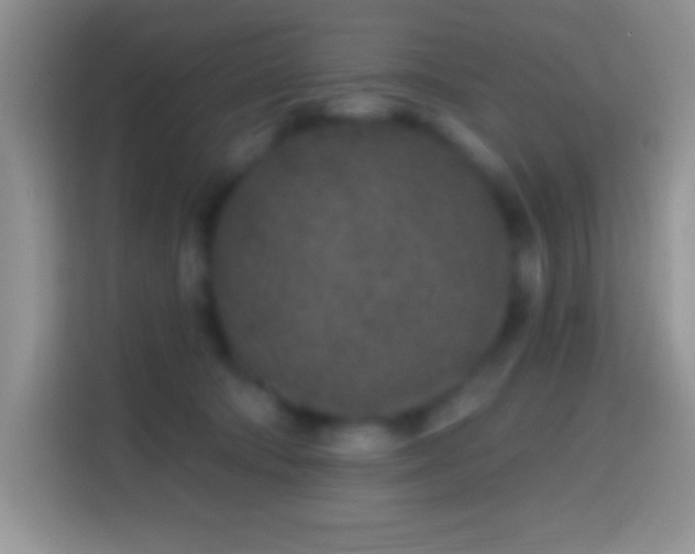 X0000113860322200910011026