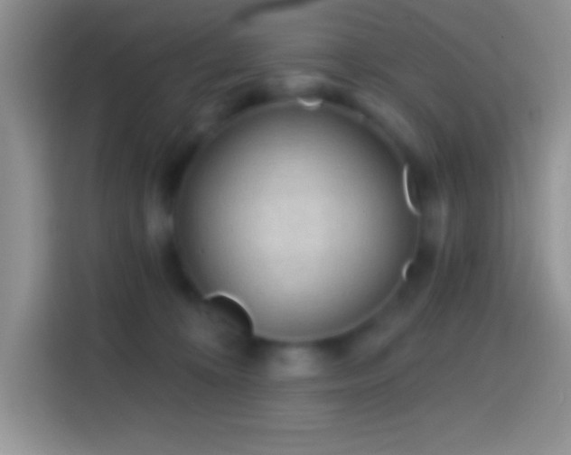X0000113860324200910011026