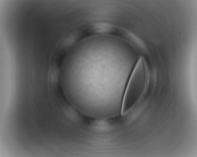 X0000113860325200910011026