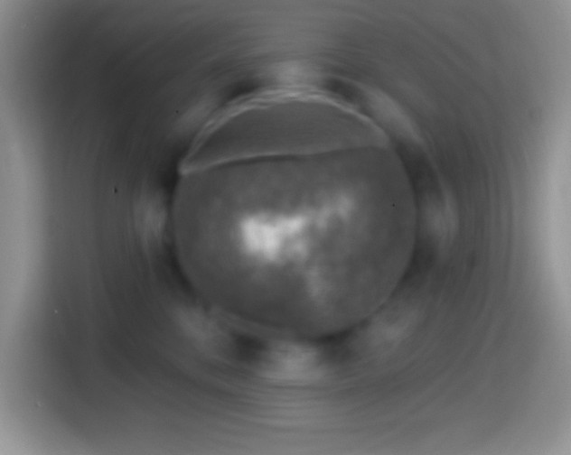 X0000113860328200910011026