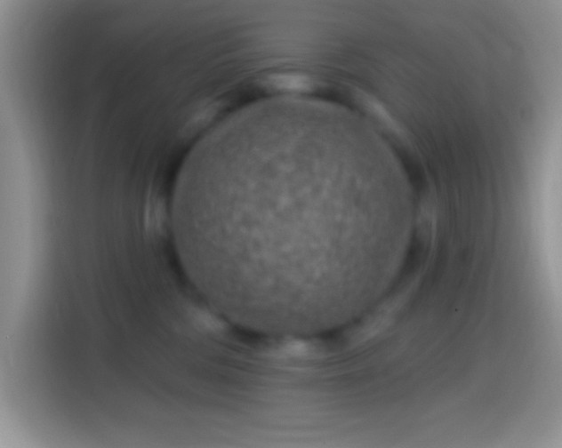 X0000113860330200910011026