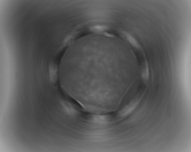 X0000113860332200910011026