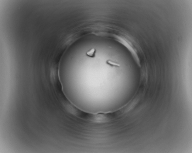 X0000113860333200910011026
