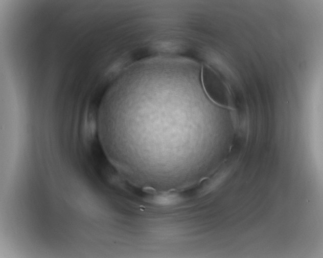 X0000113860334200910011026